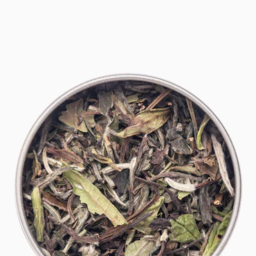 tea-26